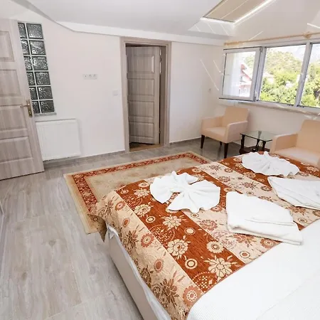 Ergun Villa Ortaca